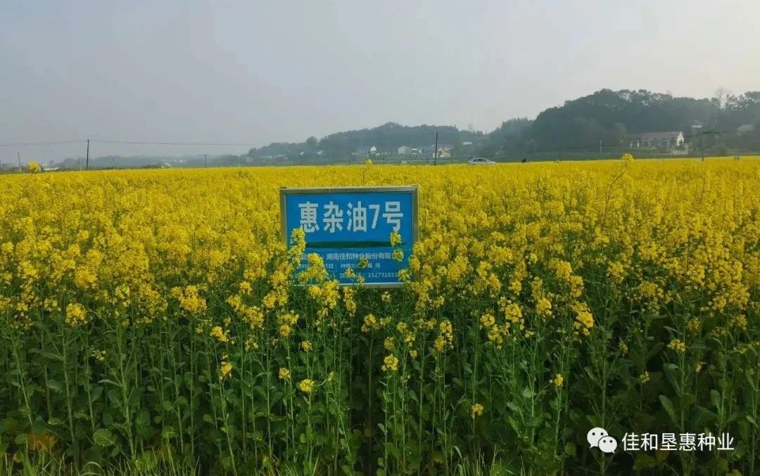 微信图片_20200715141352.jpg 微信图片_20200715141352.jpg