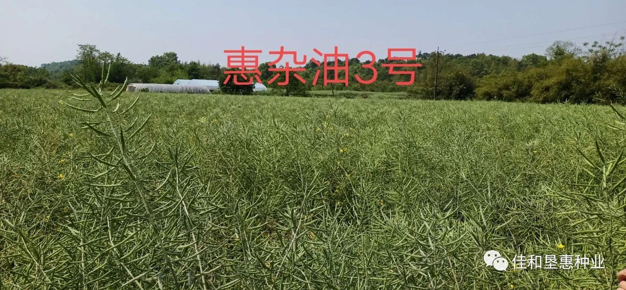 微信图片_20200715141910.jpg 微信图片_20200715141910.jpg