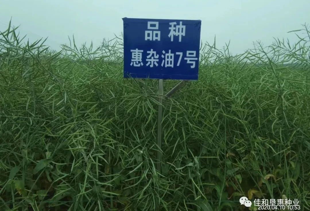 微信图片_20200715141400.jpg 微信图片_20200715141400.jpg
