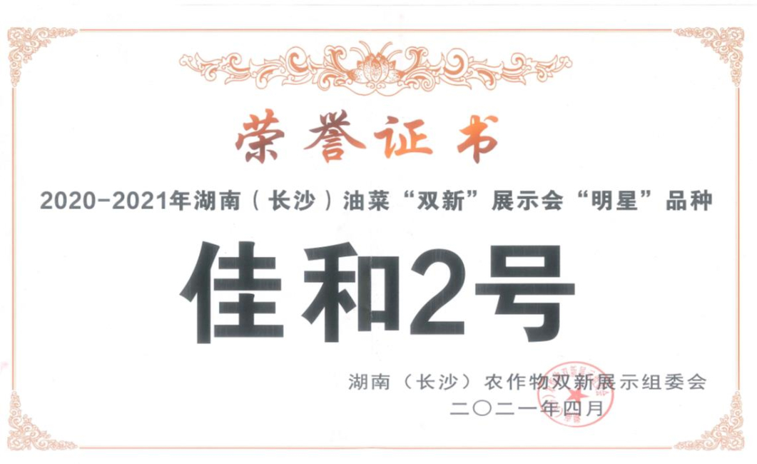 佳和2号荣获湖南长沙油菜“双新”展示会“明星”品种