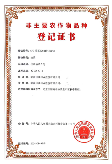 佳和油杂5号