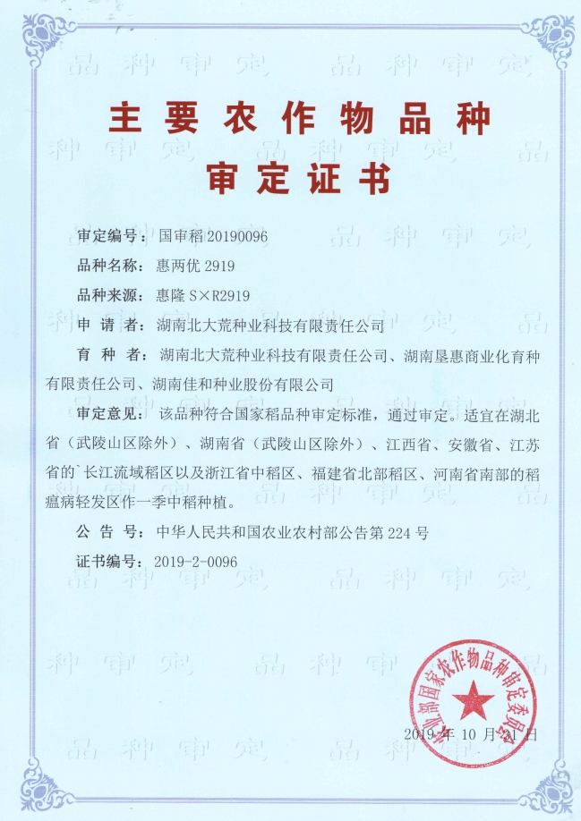 惠两优2919